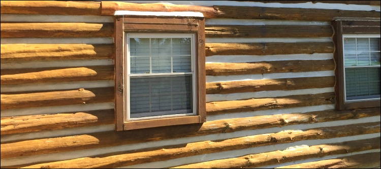 Log Home Whole Log Replacement  Fannin County, Georgia