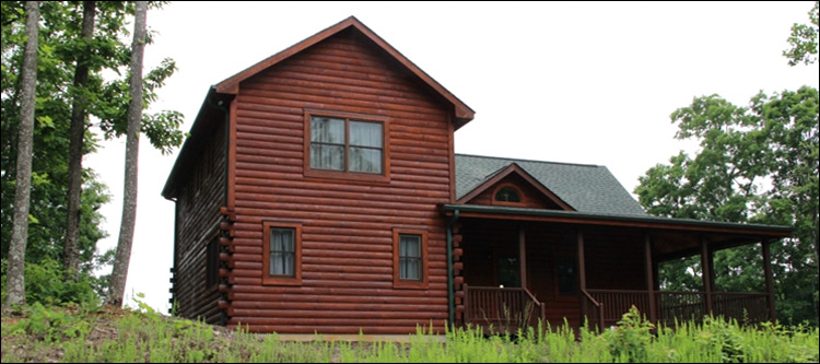 Professional Log Home Borate Application  Fannin County, Georgia